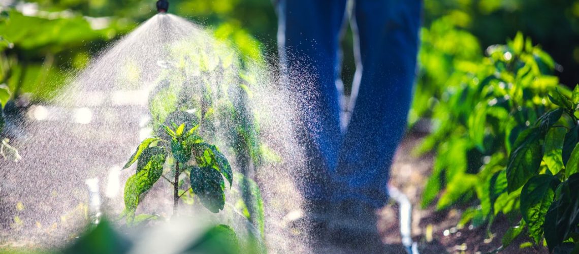 Quels sont les dangers des pesticides pour la santé ? Quels sont les dangers des pesticides pour la santé ?