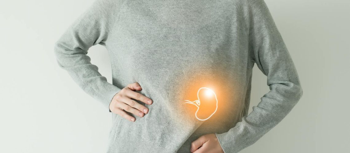 Peut-on vivre normalement sans rate ? Peut-on vivre normalement sans rate ?